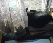 (untitled)