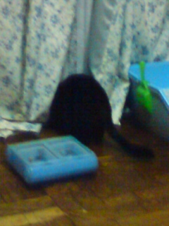 (untitled)