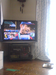 WBC